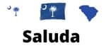 Saluda-SC-insurance